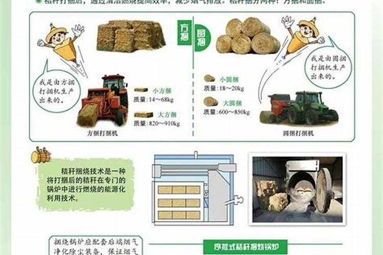 草木灰是什么肥