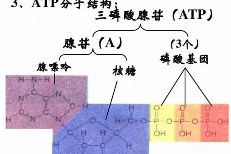 糖的提取有多少种方法