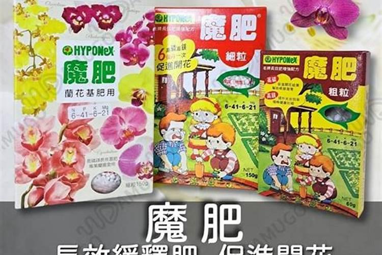 铜钱草的花语是什么