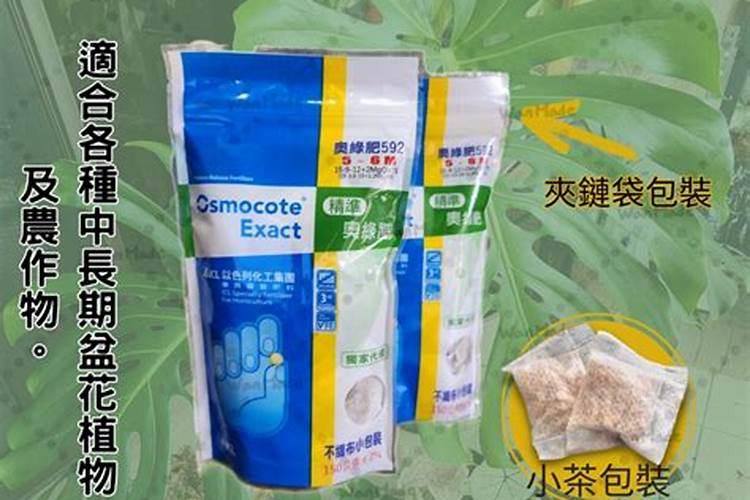 蝴蝶兰叶片发红正确处理方法