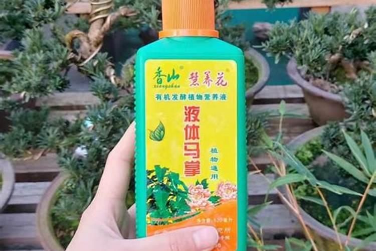 香山黄叶绿肥料怎么样