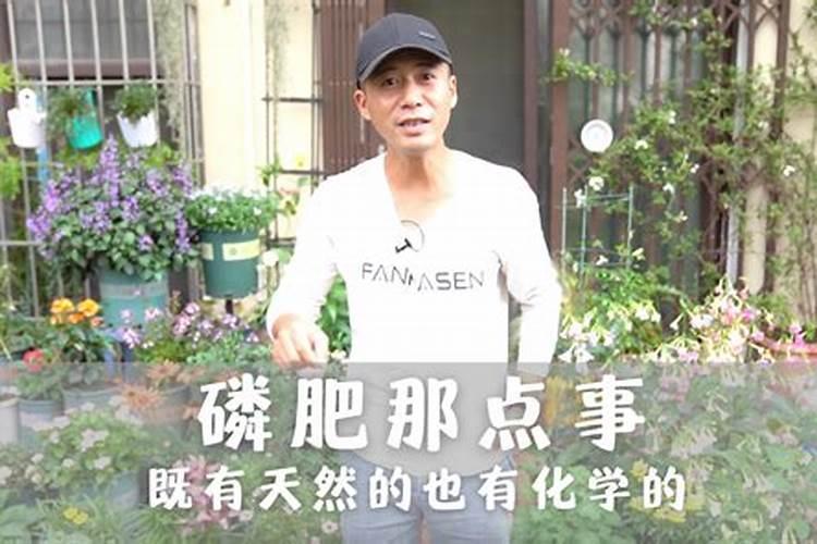 把腐植酸直接撒在地里,有效果吗？会有什么效果？