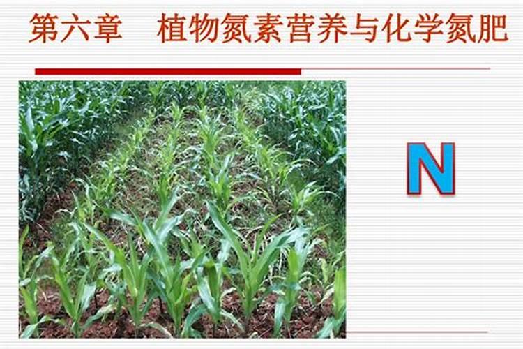 200克每升的液体氮肥含量