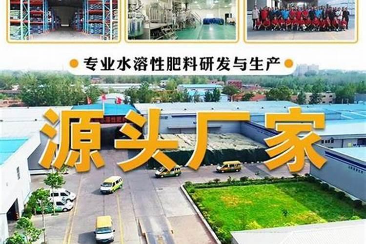 什么是无土栽培的水溶肥？它和其他水溶肥有哪些区别？