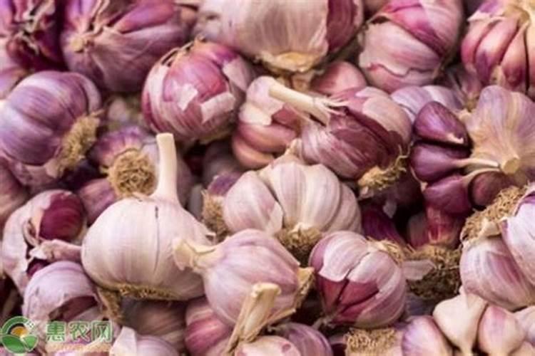 大蒜追肥用什么肥料好
