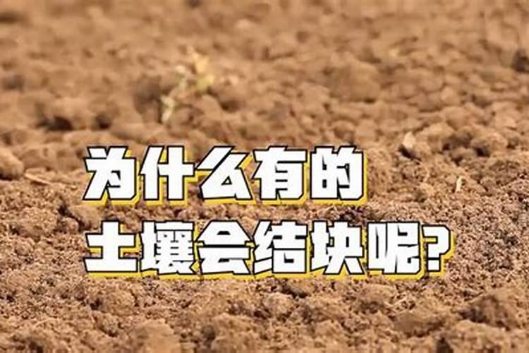 重钙与轻钙的区别