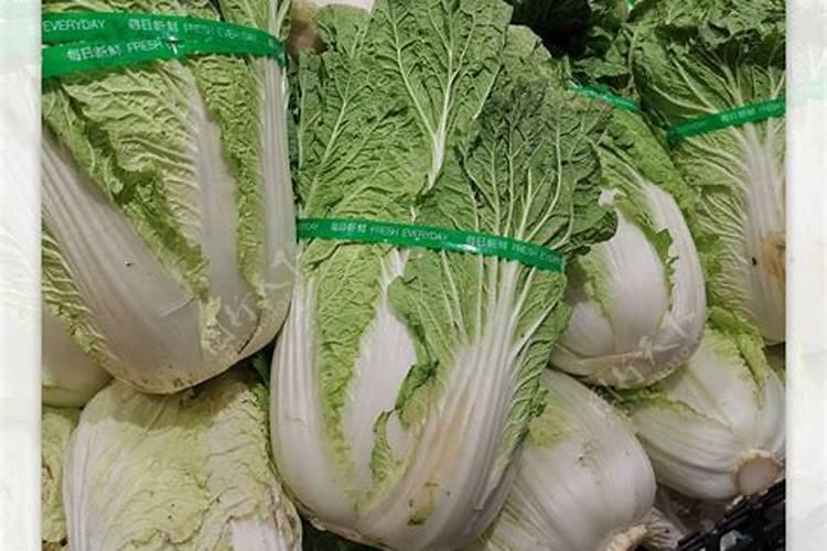 柑桔施钾肥最佳时间 正确使用方法有哪些