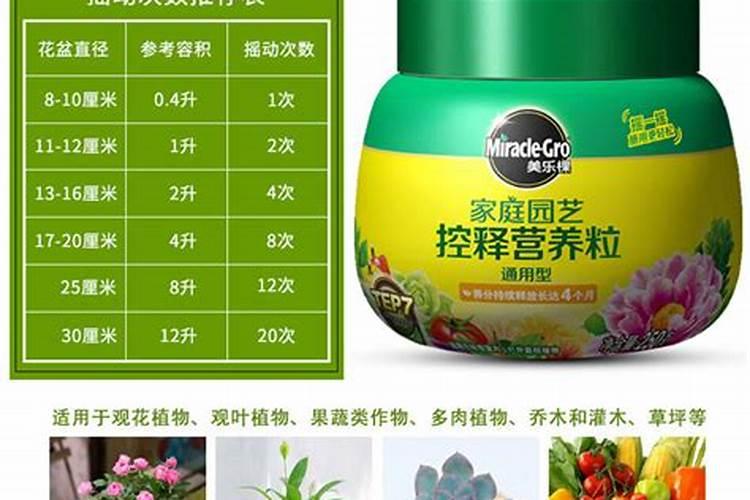 多肉植物施什么肥容易爆盆