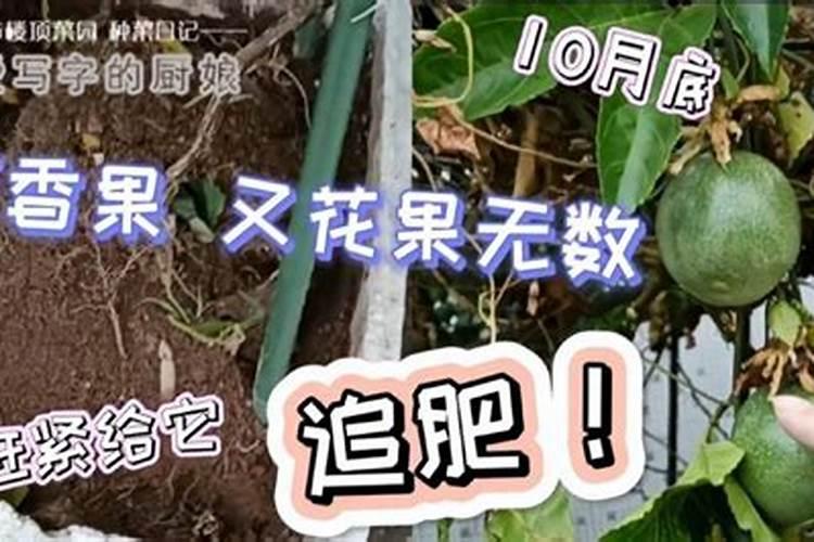 百香果怎么促进花芽分化