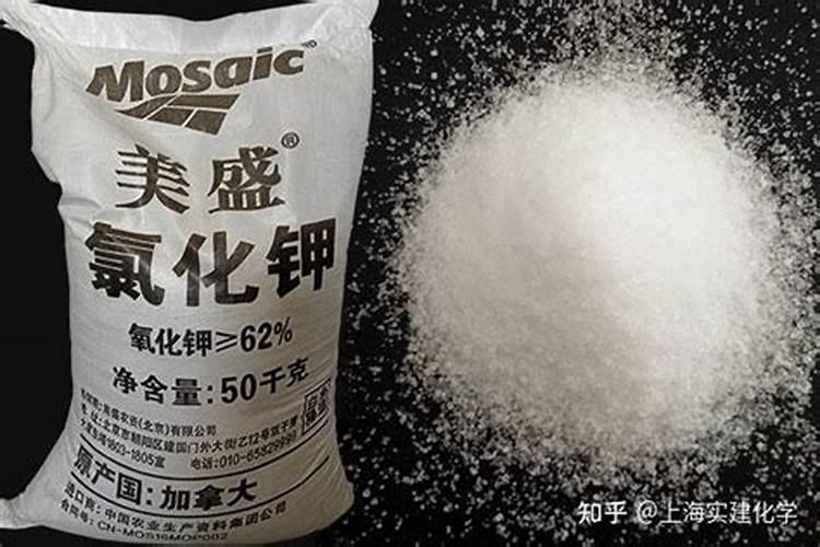 牵牛花施肥什么肥料好