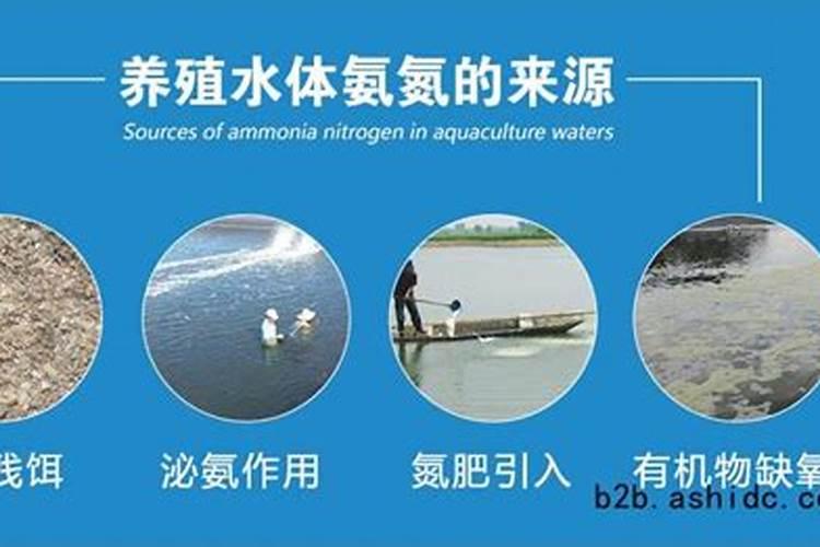 水产养殖氨氮高是什么原因造成的