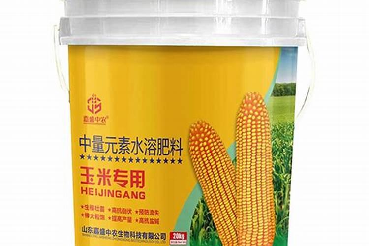 如何把多肉植物养胖
