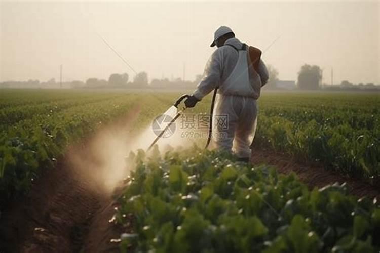 什么情况下叶面肥需要与肥料或农药混用？