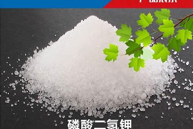 开春了月季新芽嫩叶能用磷酸二氢钾喷施吗？