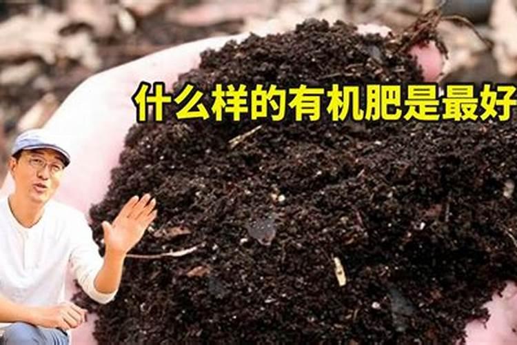 最环保的有机肥品牌