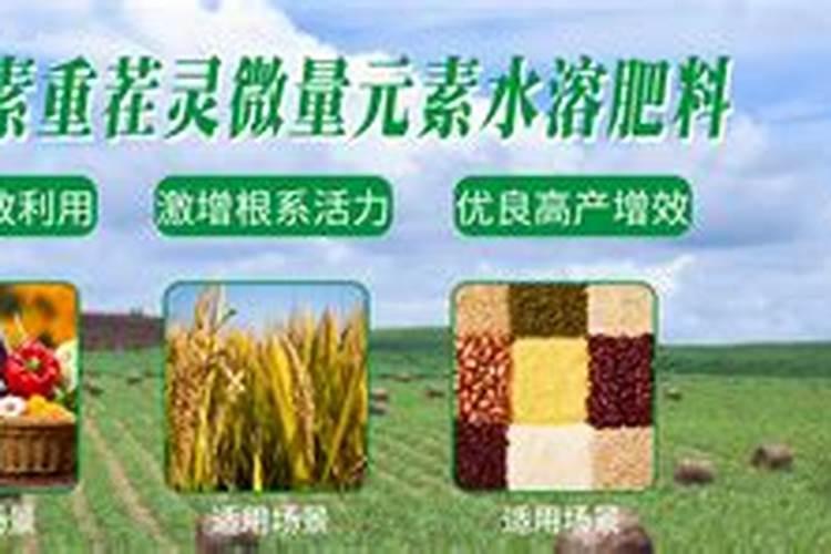 微量元素肥有哪些