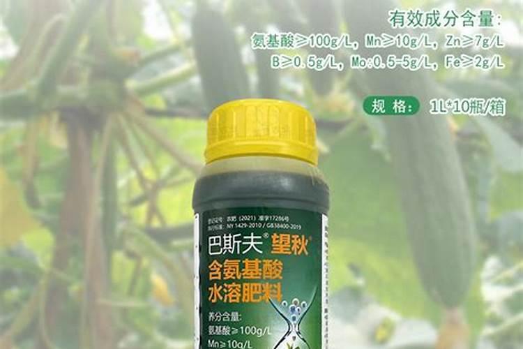 磷酸二酯酶