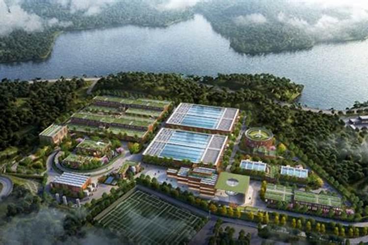 畅游沙湾县冰凉一夏水上乐园有哪些比较简单的方式？