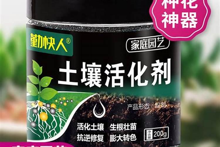 芒果有怎样的安全施肥技术？