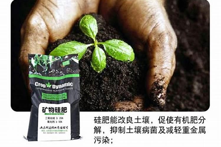 硅肥一亩地用多少,硅肥的十大作用