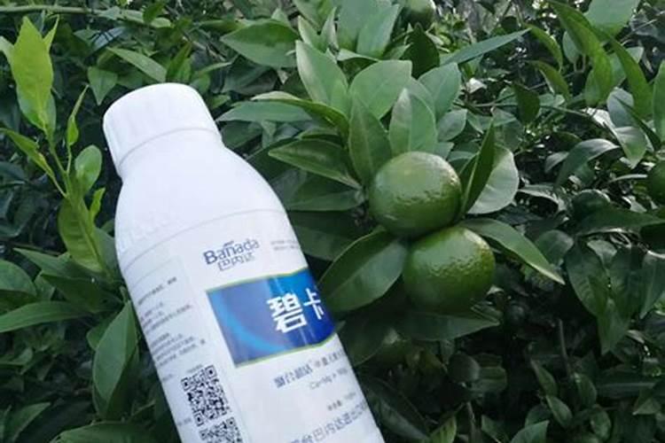 海蟹如何保鲜存放