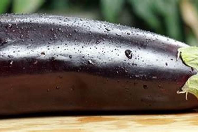 种茄子用什么肥料最好