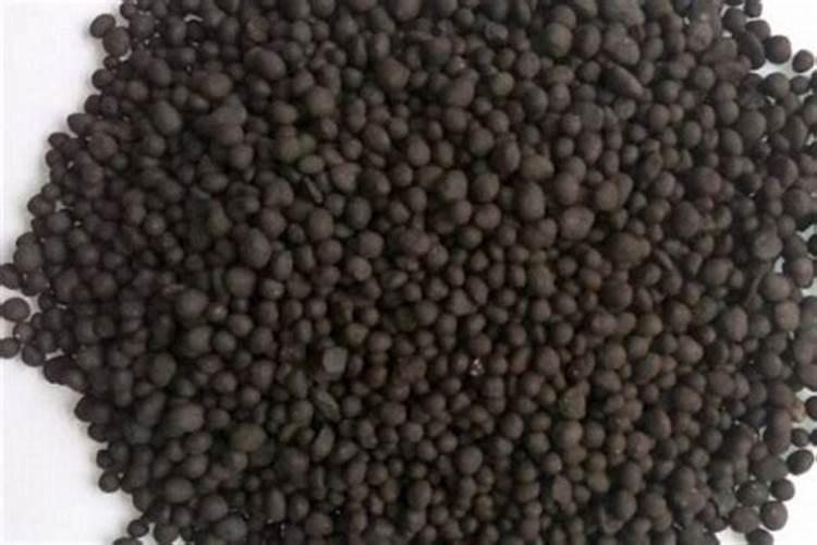 一般的花草植物上什么肥最好 花卉肥料有哪些