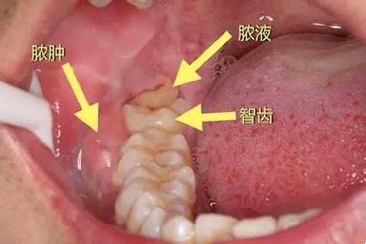盆栽种菜如何自制肥料(盆栽种菜必备,自制肥料教程,绿色环保又高效...