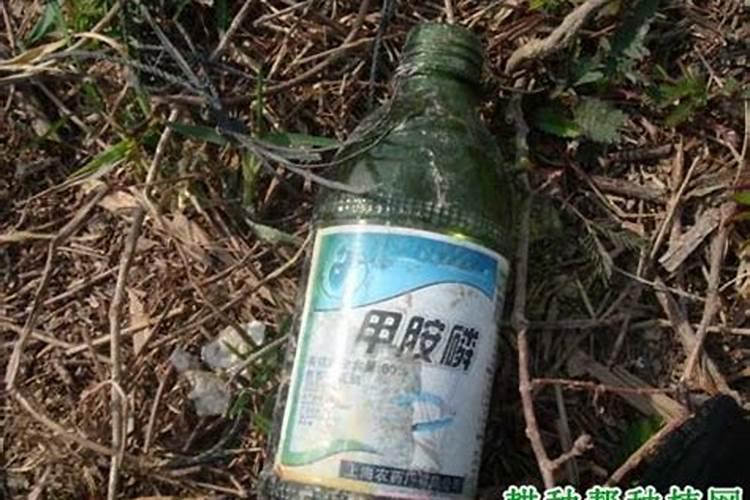 糖原分解的直接产物为