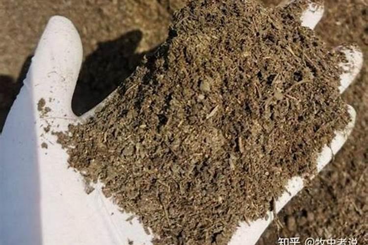 有机肥腐熟方法