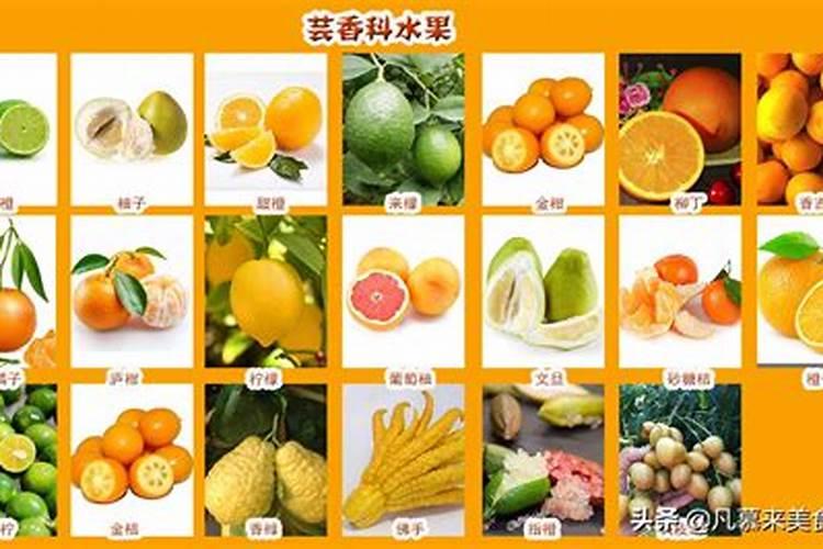 秋施基肥配方哪些好 施用多少数量最好