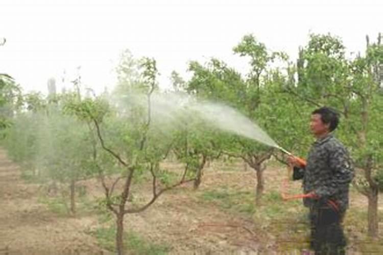 氮磷钾肥哪种肥料抗病虫害(氮磷钾肥料可以消灭虫害吗)
