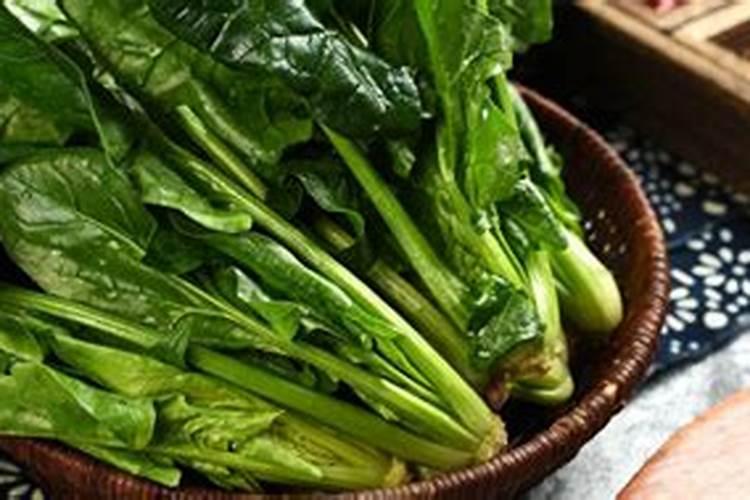 种菠菜什么肥料不能施