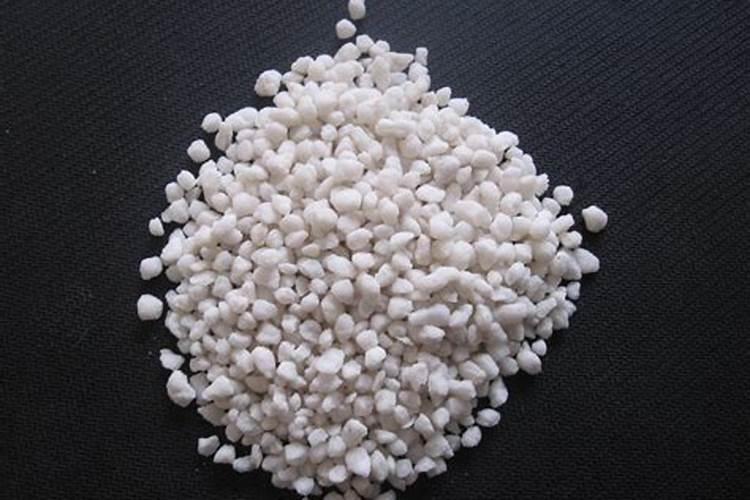 种青菜用什么肥料长得好