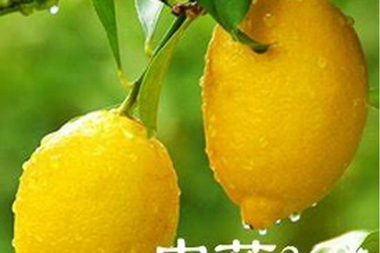 含缩二脲的大量元素水溶肥氮肥是什么氮