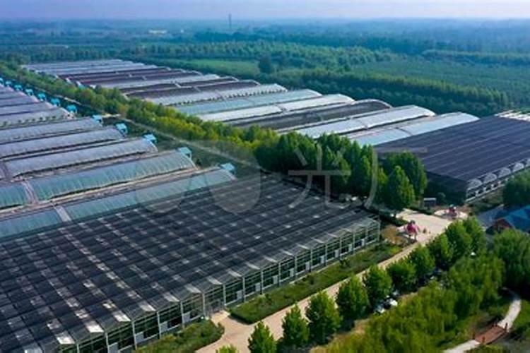 高钾大量元素水溶肥哪个牌子的比较好,