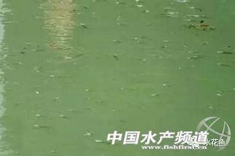 氮肥和磷肥还有钾肥,哪一种肥料对植物的生长好处最大呢