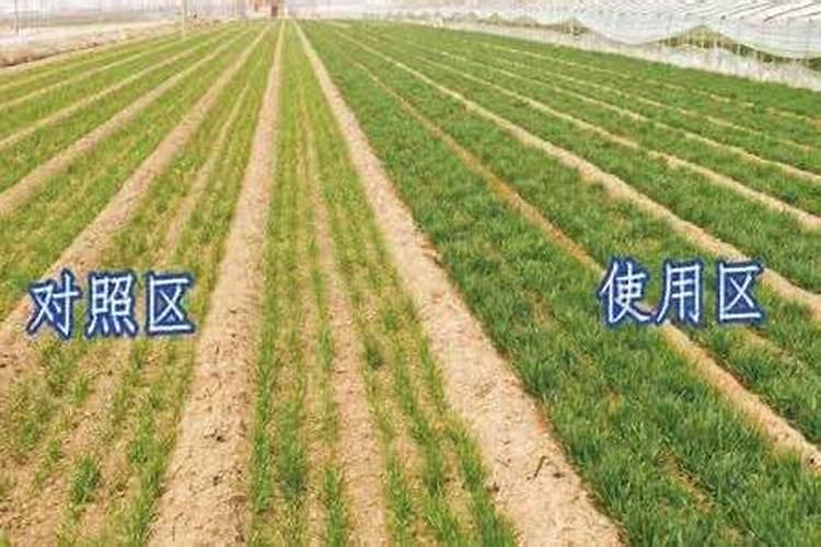 种地用化肥,农家肥,有机肥,哪个好呢？