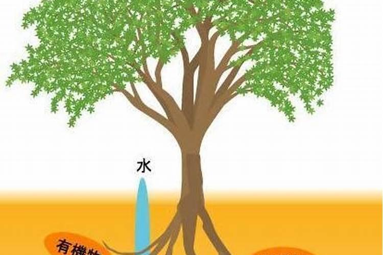 有机无机肥料怎么样效果怎么样