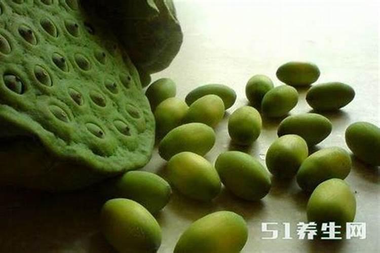 睡莲追肥用什么肥料好？