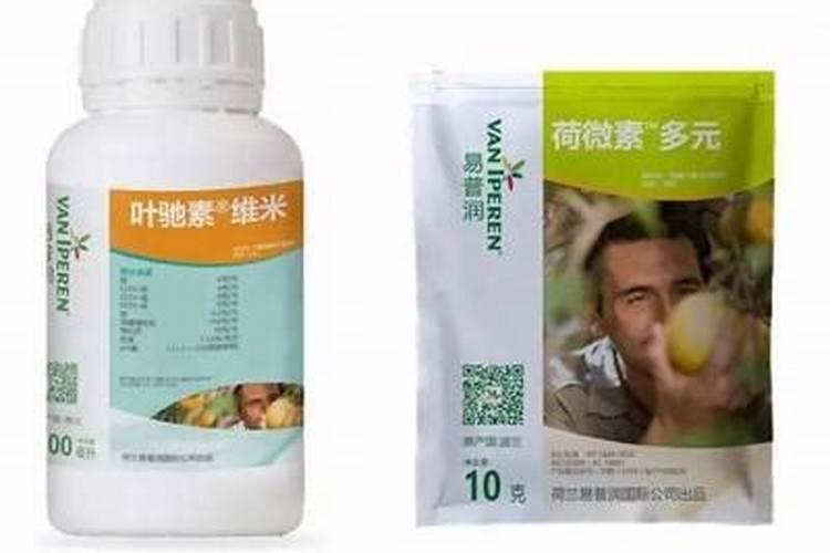 浓缩海藻精的正确使用方法