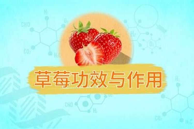 草莓苗什么时候施肥 草莓苗种植多久能施肥