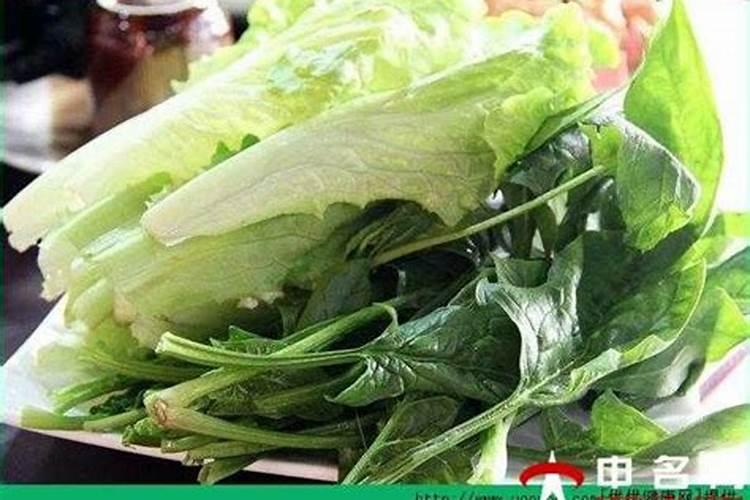 甘蔗用什么肥料好