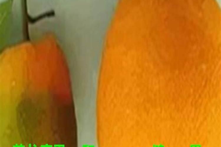 脐橙有哪些专用肥 如何进行施肥