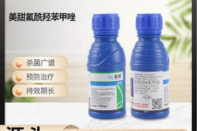 扦插月季枝条难生根怎么办？