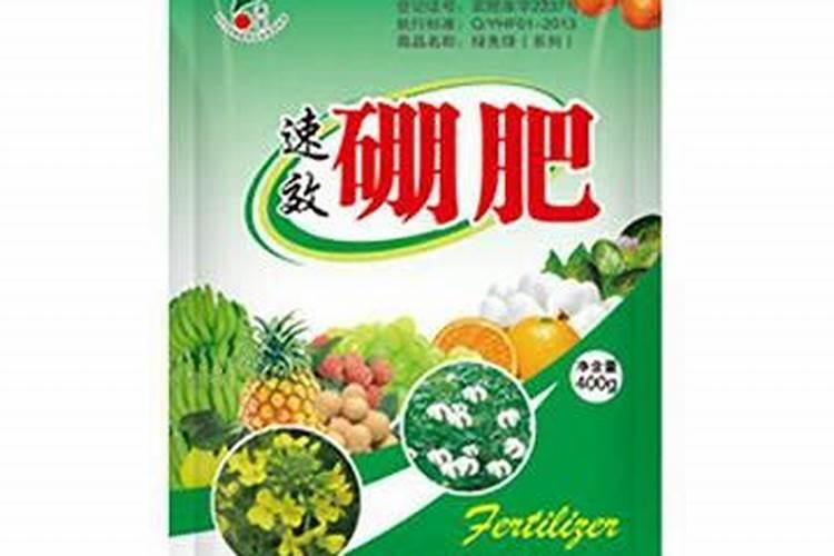 金秋砂糖桔香橙砧苗适不适合在江西种植？