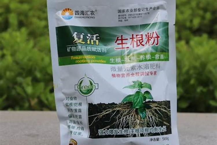 果树生根促根用什么效果最好？
