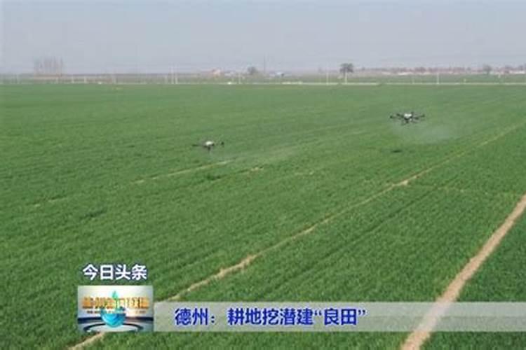 为什么磷的供给缺乏是农业发展的重要障碍
