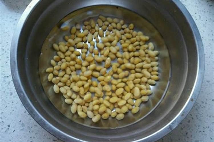 煮熟的黄豆怎么发酵做肥料