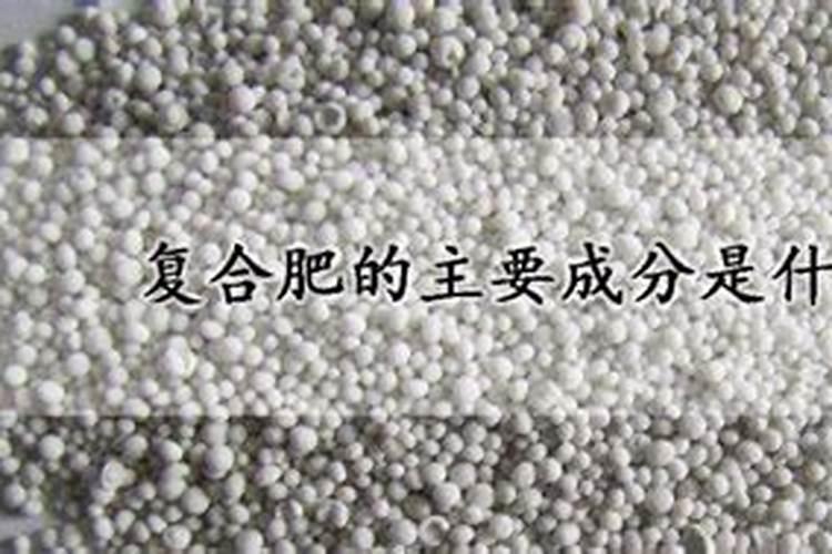 石家庄公交早上最早什么时候啊